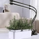 thumbnail image 4 of Lámpara de planta de cabeza de tubo doble con luz de cultivo de plantas LED de 30W con cuello de cisne flexible de 360 ​​grados para invernadero de plantas de interior Inevent LED1668-00B, 4 of 6