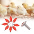 thumbnail image 4 of Sailing Comederos automáticos para bebederos con tetina de agua para aves de corral 100PCS, 4 of 10