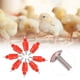 thumbnail image 4 of Bebedero automático con tetina de agua para pollo, comederos para aves de corral, gallina, pato, ganso, 100 Uds., 4 of 5