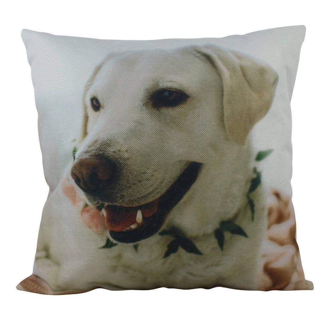 18x18 Multicolor Golden Retriever gifts co Cute Golden Retriever Dog Lover Gift Women Girl Throw Pillow 