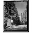 thumbnail image 2 of Historic Framed Print, Redwood National & State Parks Roads, California coast from Crescent City to Trinidad, Crescent City, Del Norte County, CA - 12, 17-7/8" x 21-7/8", 2 of 9
