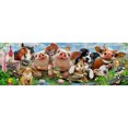 thumbnail image 1 of Cuadros Decorativos Pintura de diamantes redondos completos, familia de animales, mosaico de diamantes de imitación, arte de pared para el hogar Likrtyny embutido en tela, 1 of 9