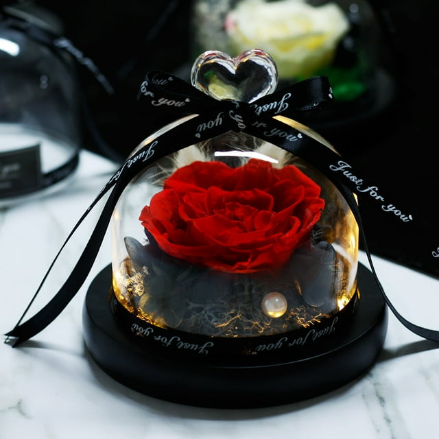 Rosa eterna en una elegante cúpula de cristal, con luz LED a base de pino, flor preservada, regalo navideño, decoración de mesa, rosa roja