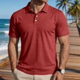 thumbnail image 2 of Mfakffe Mens Polo Shirts Casual Short Sleeve Golf Tshirt Summer Big and Tall Lapel Collar Top Comfortable Cotton Tees (Wine, L), 2 of 4