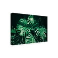 thumbnail image 2 of Trademark Fine Art 'Tropical Green Palm' Canvas Art by PhotoINC Studio, 2 of 3