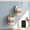 White, variant on Refrigerator Magnetic Storage Box Wall Mounted, Simulation Coffee Cup Shape Plastic Organizer Rack Holder for Kitchen and Desktop Metal Surfaces