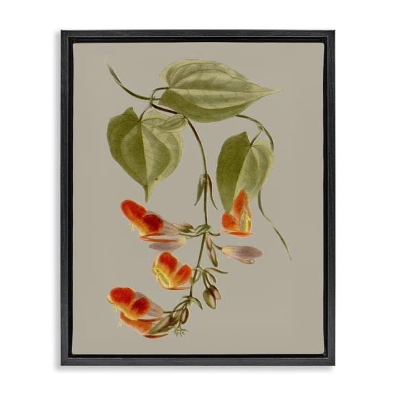 Stupell Industries French Country Vine with Red Blossoms Black Floating Frame Canvas Art, 17 x 21, by Vision Studio