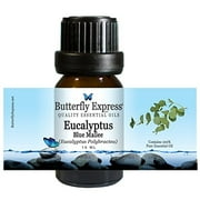 Eucalyptus Blue Mallee Essential Oil 10ml - 100% Pure - by Butterfly Express