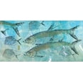 thumbnail image 2 of Roberts, Jim 14x9 Gold Ornate Wood Framed with Double Matting Museum Art Print Titled - Tarpon Lagoon, 2 of 4