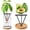 Black-S2, variant on Avocado Planter Avocado Seed Starter Vase Metal Triangular Sprouting Kit with Wooden Base Plant Pot for Easy Seed Germination Gardening Lovers Home Office Table Decoration,Black