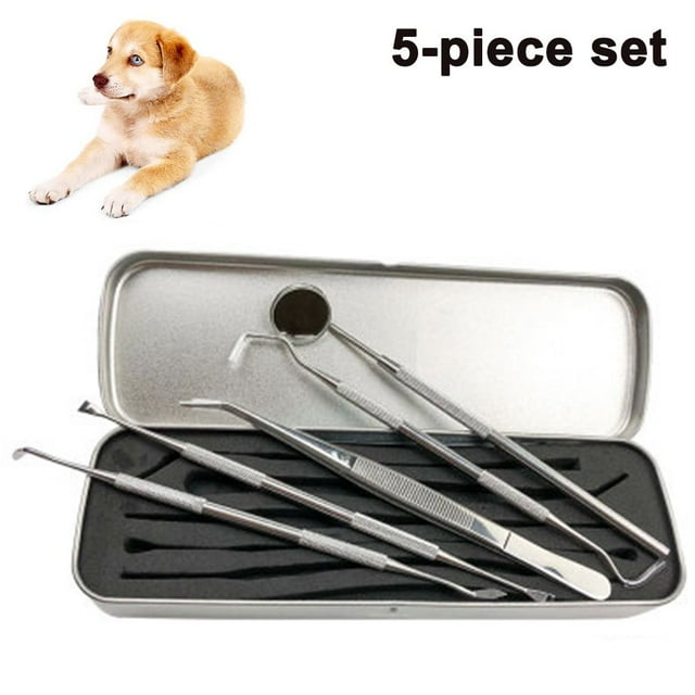 HLONK Professional Dental Tools Dog Dental Tooth Scaler and Scraper Stainless Steel Tartar Remover - 5 Pack Stainless Steel Teeth Cleaning Tools for Dogs Cats