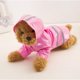 thumbnail image 4 of Chubasquero para cachorros y mascotas al aire libre con sombrero, chaqueta impermeable, chubasquero reflectante de PU, ropa para gatos., 4 of 6