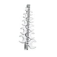 thumbnail image 1 of Wisewang 10Pcs 3/8 Drive Crowfoot Wrench Set Wrench Professional Open End Foot Crows, 1 of 6