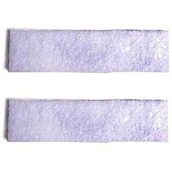 Replacement Part For Hoover WindTunnel T-Series Vacuum Cleaner OUTLET Exhaust Filter (2 Filters) Fits Models UH30310, UH30300, UH30600, UH30302, CH53005