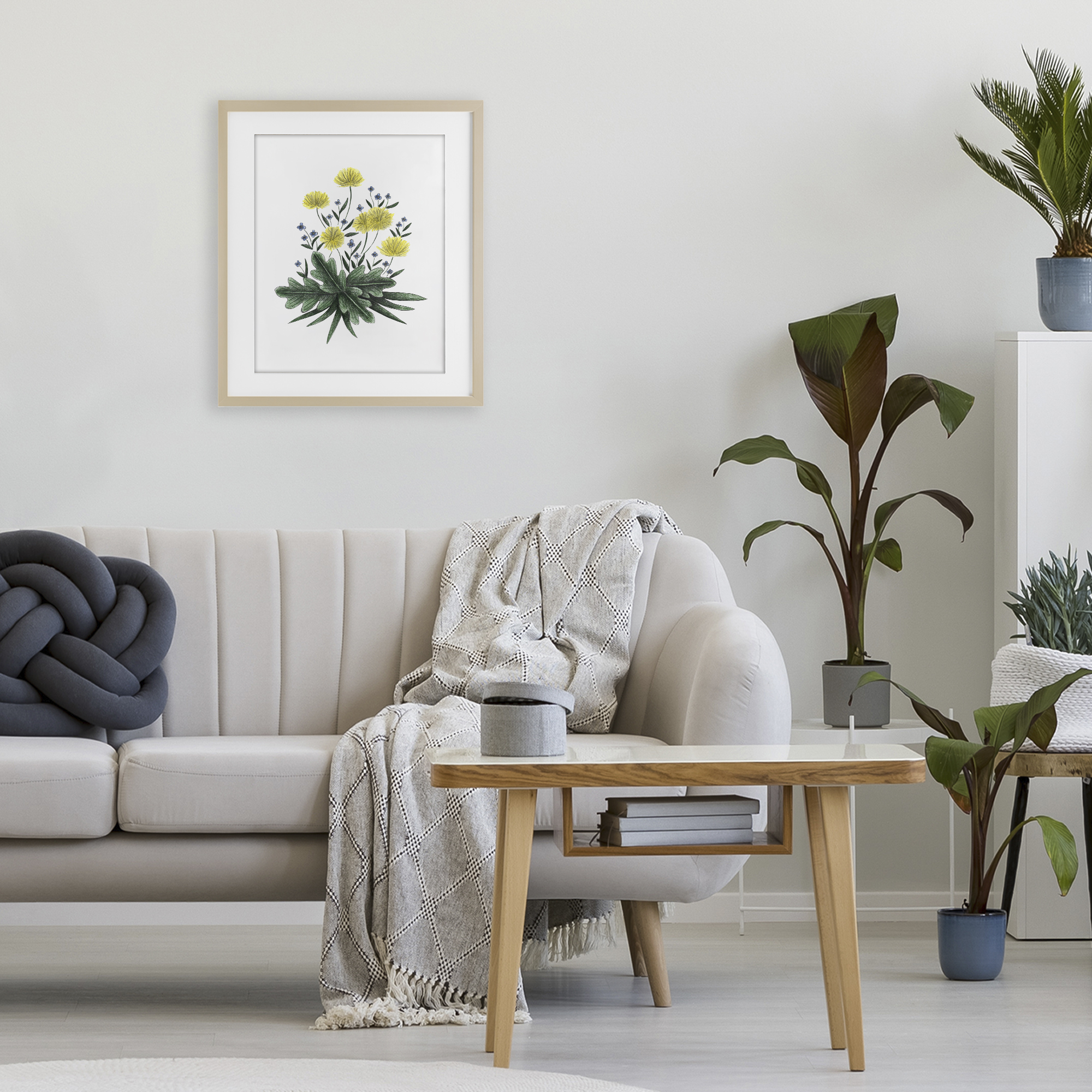 Dandelion Flower Illustration Birch Framed Print Under Glass, design by Cecilia Battaini