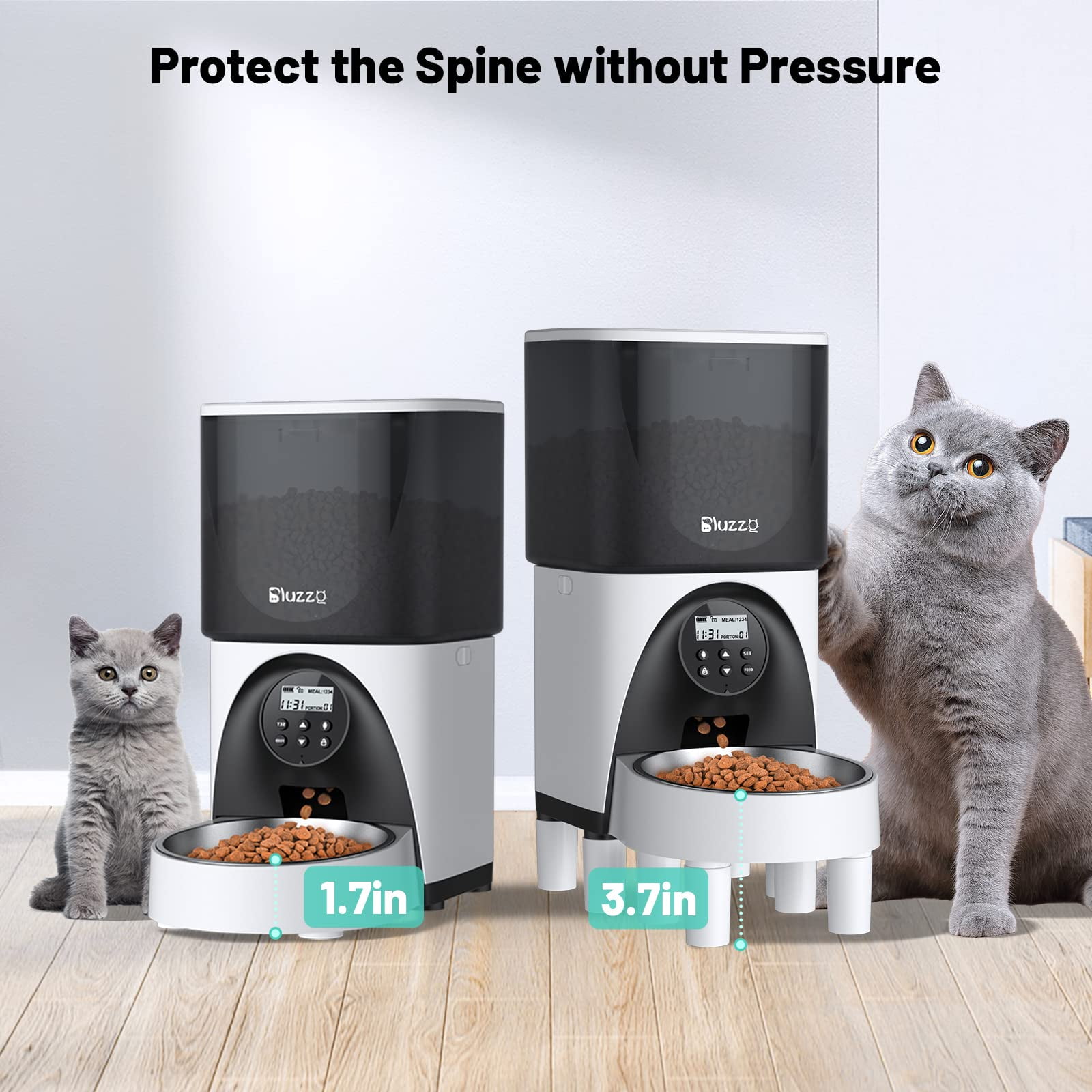 Cat deals feeding machine