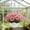 White, variant on Hanging Planter Pot with Self-Watering Function Drainage Holes and Metal Chain Plastic Container for Indoor Outdoor Garden Decor