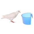 thumbnail image 3 of Tazas De Alimentación Para Pájaros Loros Jaula Tazón Para Colgar Perchas Play Stand - Tazas De Gallinero Tazón De Agua Para Semillas Gloria Taza de alimentación de agua colgante de pájaro, 3 of 9