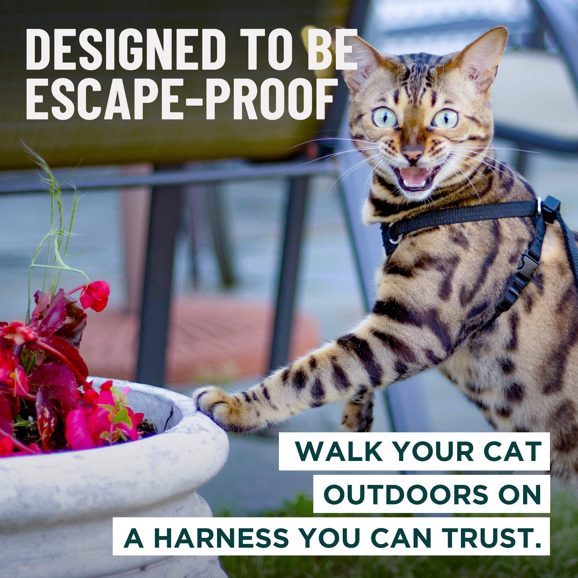 Houdini™ Escape Proof Cat Harness
