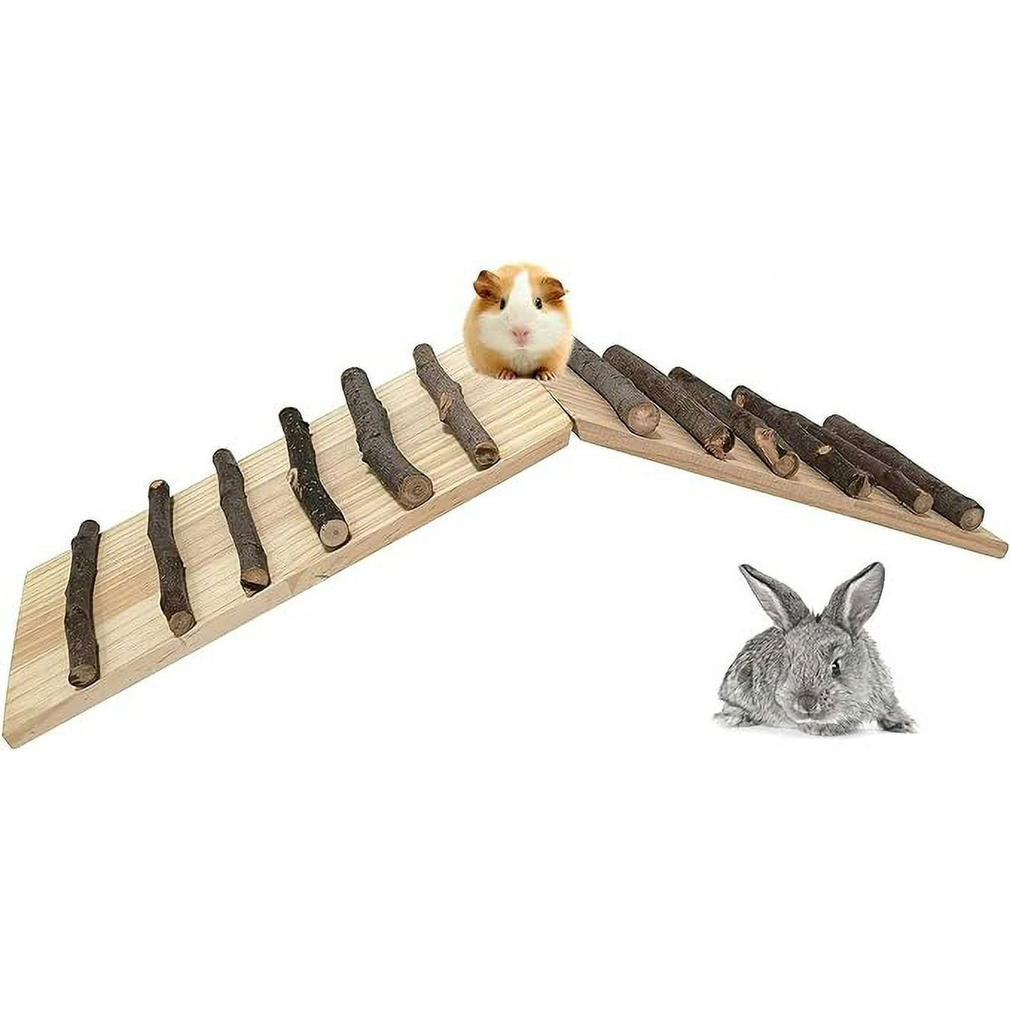 Guinea pig ladder ramp hot sale