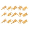 thumbnail image 3 of 3 juegos de escarabajo simulado Insectos realistas de insectos juguetes para niños juguetes para niños para educación, 3 of 5