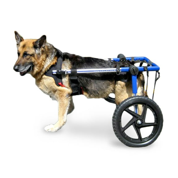 Walkin' Wheels Dog Wheelchair XLarge Blue