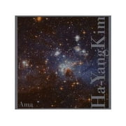 Kim Ha-Yang - Ama - Electronica - CD