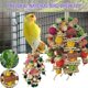 thumbnail image 2 of Juguete colgante para pájaros, juguete colgante para pájaros loros que previene depresiones, juguete para trepar pájaros para interiores., 2 of 5