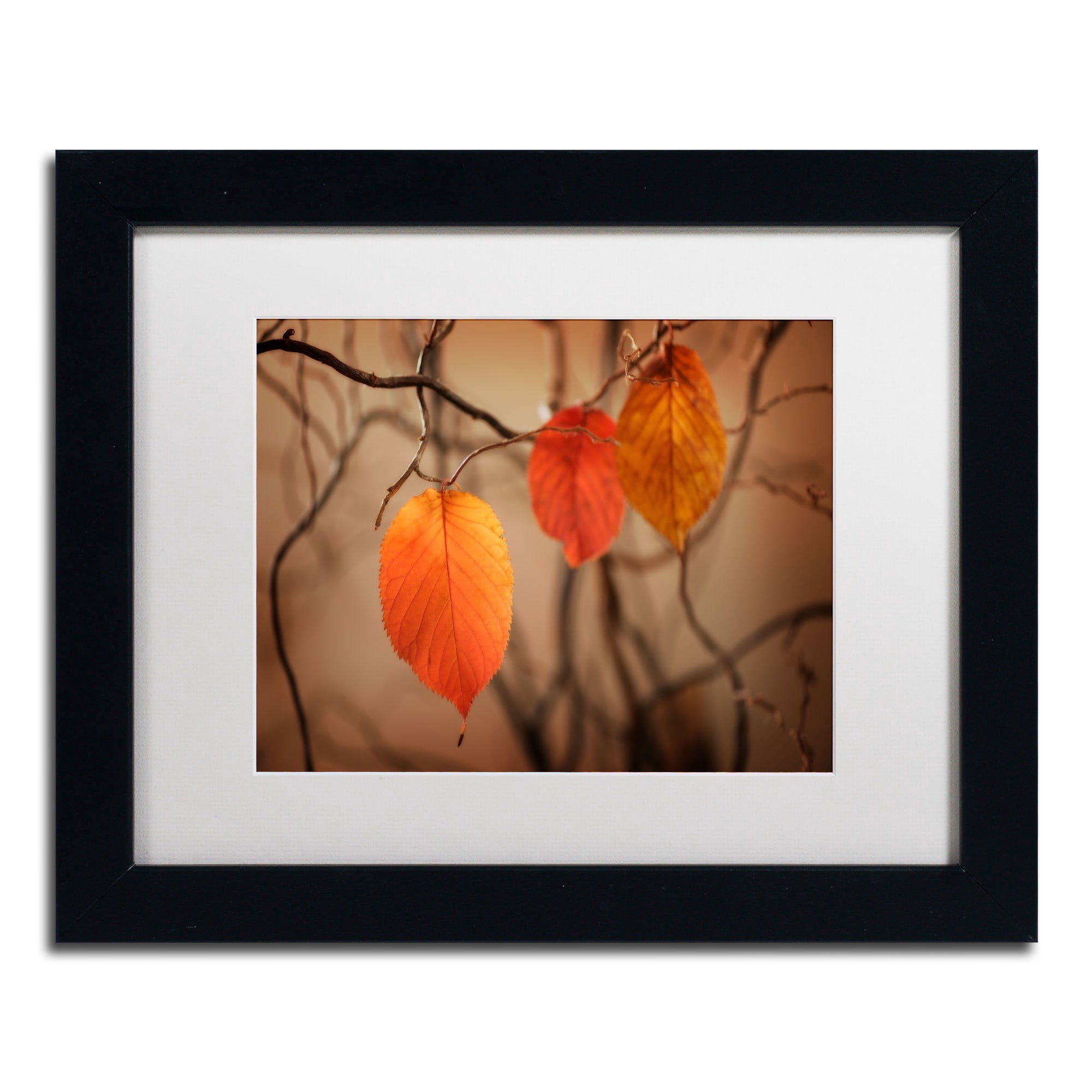 Trademark Fine Art "Leaves after Leaves" Canvas Art by Philippe Sainte-Laudy, White Matte, Black Frame