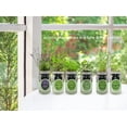 Hydroponic Growing Kit Set SelfWatering Mason Jar Herb Garden Starter