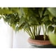 thumbnail image 3 of Silk Artificial Green Lotus Leaves Simulation Follaje Bouquet Photo Props, 3 of 9
