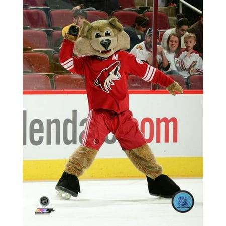 Howler the Phoenix Coyotes Mascot Photo Print