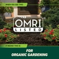 thumbnail image 4 of Ortho GroundClear Weed and Grass Killer, Kills Moss and More, OMRI Listed, 1 gal., 4 of 13
