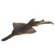 thumbnail image 1 of Modelo de pez Mgaxyff No, 1 of 5