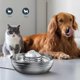 thumbnail image 2 of Fuente de agua para gatos shaofei dispensador de agua acero inoxidable, 2 of 5