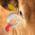 thumbnail image 4 of TABLETREANDS Herramienta De Para Caballo Con Resistentes Para Quitar, 4 of 8