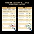 thumbnail image 4 of Akkermansia Probiotic, GLP-1 Supplement for Gut Health & Digestion, DigeSEB Digestive Enzymes & Vitamin B Complex - 30 Billion TFU, Third-Party Tested, 30 Capsules - 1 Month Supply for Men & Women, 4 of 7