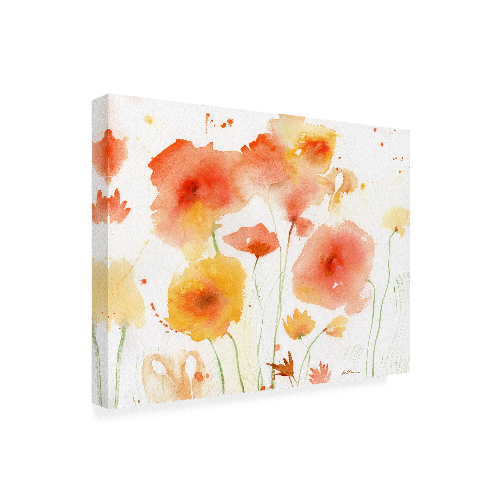 Trademark Fine Art 'Orange Yellow' Canvas Art by Sheila Golde