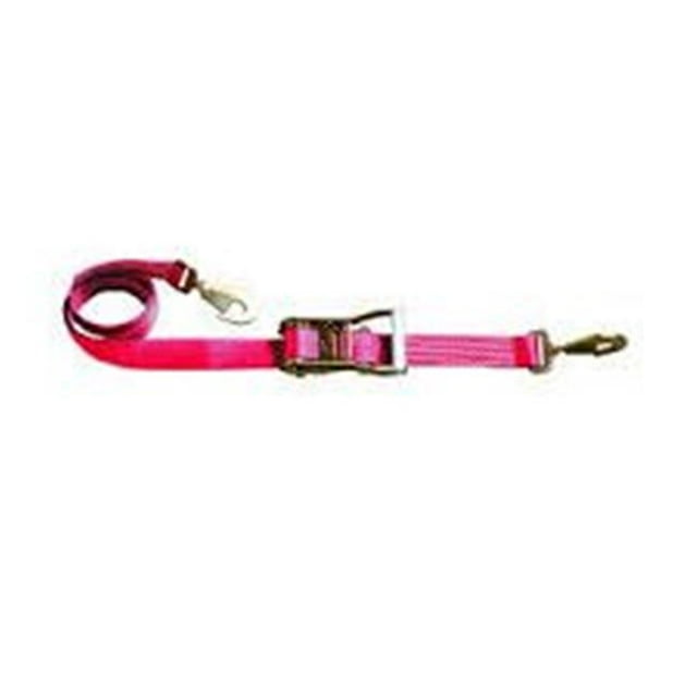 Cliquet Combiné de 2 Po x 10 Pi et Sangle d'Axe avec Crochet Torsadé et Sangle d'Axe Ajustable, Rose - 2 Pcs
