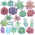 thumbnail image 1 of Bangcool Artificial Succulent Plants Assorted 21PCS Cute Mini Fake Succulents Home Decor, 1 of 10