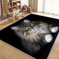 thumbnail image 1 of Washable Area Rug for Living Room 3x5 ft Animal Siberian Cat 3D Print Decor Carpet, Non Slip Stain Resistant Large Area Rugs, for Bedroom Dining Room Office, 1 of 1