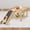 Single hammock, variant on Single hammock small pet bed with wooden platform and stairs for guinea pigs, chinchillas, rats, hamsters, bunnies