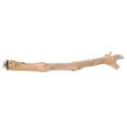 thumbnail image 3 of Prevue Pet Products 18 inch Straight Branch Coffea Wood Bird Perch 1042, 3 of 4