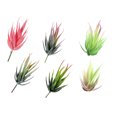 thumbnail image 1 of 6 uds simulación de flores falsas cebra aloe suculentas accesorios creativos DIY suministros plantas verdes artificiales, 1 of 6