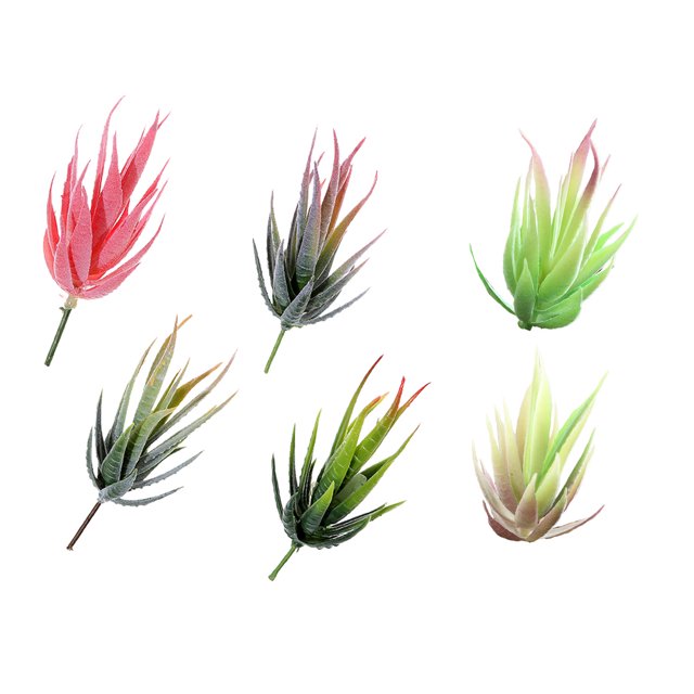 6 uds simulación de flores falsas cebra aloe suculentas accesorios creativos DIY suministros plantas verdes artificiales