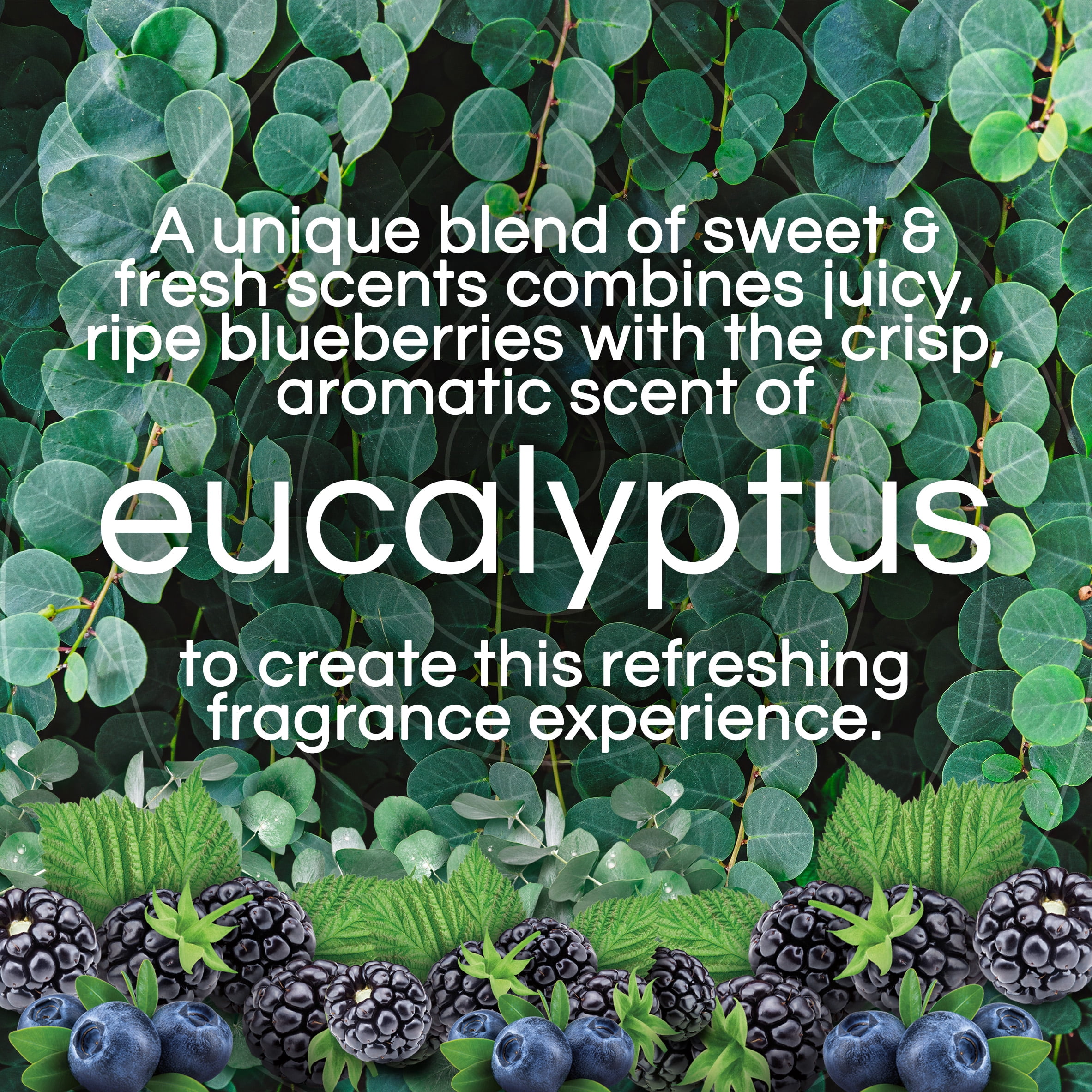 Air Wick Vibrant Plug-In Scented Oil Air Freshener Warmer Refills, Eucalyptus and Wild Berries, 5 Count