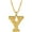 Y, variant on Fiaya Women Initial Necklace for Women Dainty Gold Letter A-Z Pendant Choker Necklace Alphabet Name Necklace Cute Personalized Name Necklace Jewelry Gifts (W)