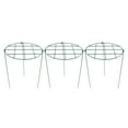 thumbnail image 1 of 3pcs Plant Climbing Frame Hydrangea Rose Bracket Creative Climbing Flower Bracket Gardening Green Plant Support Bracket Fixed Ro, 1 of 8