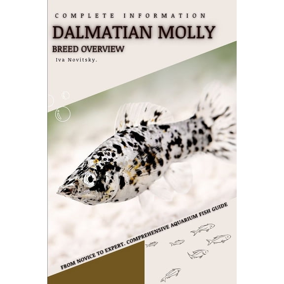 Dalmatian Molly: From Novice to Expert. Comprehensive Aquarium Fish Guide (Paperback)