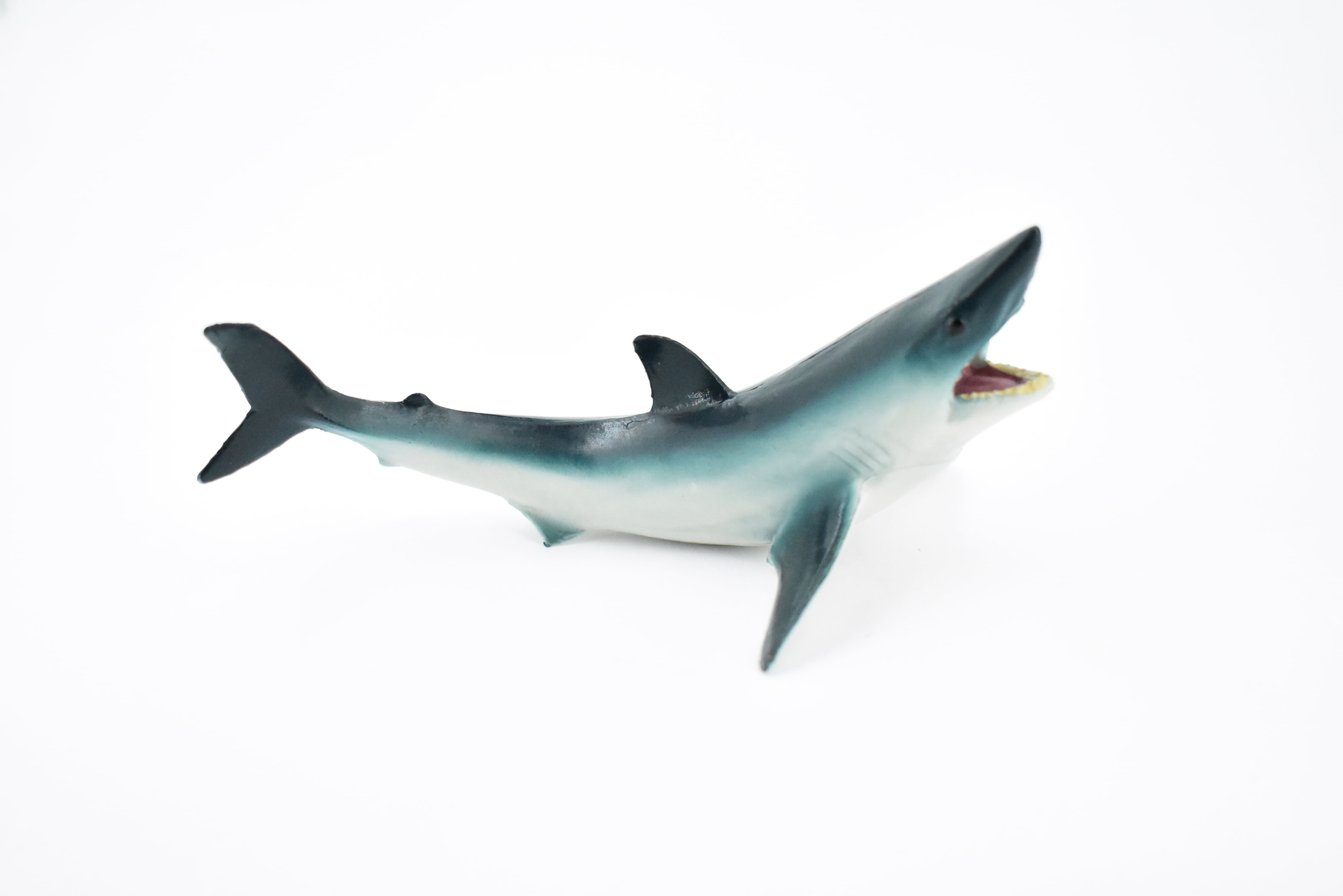 Shark, Shortfin Mako, Museum Quality, Rubber Fish, Hand Shark, Shortfin Mako, Museum Quality, Rubber Fish, Hand